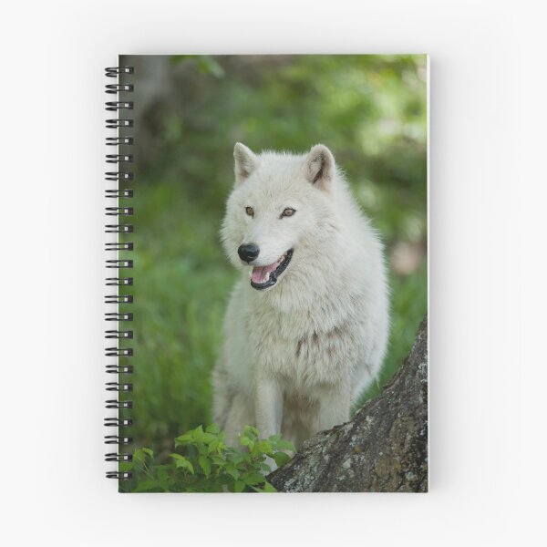 Item preview, Arctic Wolf designed and sold by WolvesOnly.