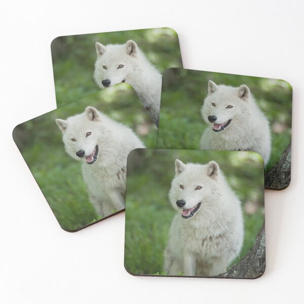 Item preview, Arctic Wolf designed and sold by WolvesOnly.