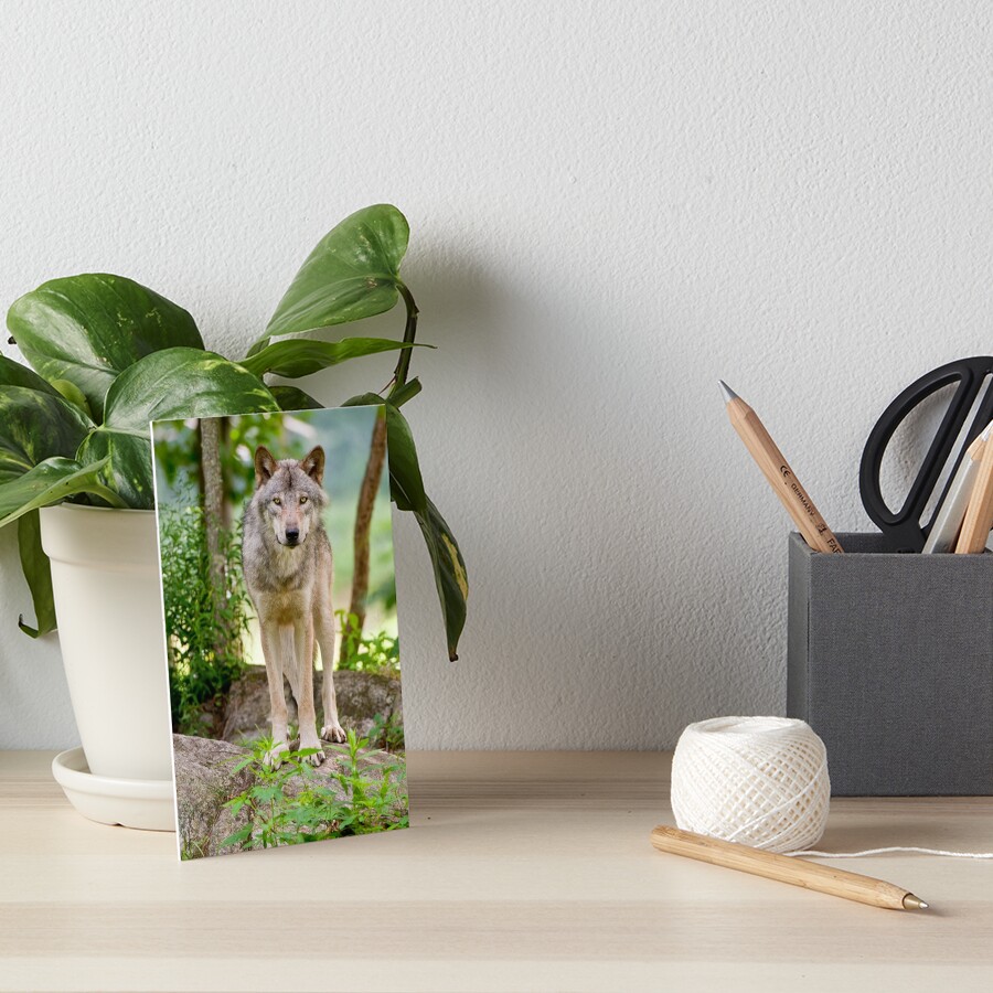 Item preview, Art Board Print designed and sold by WolvesOnly.