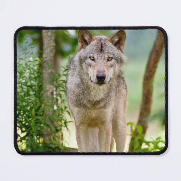 Item preview, Timber Wolf designed and sold by WolvesOnly.