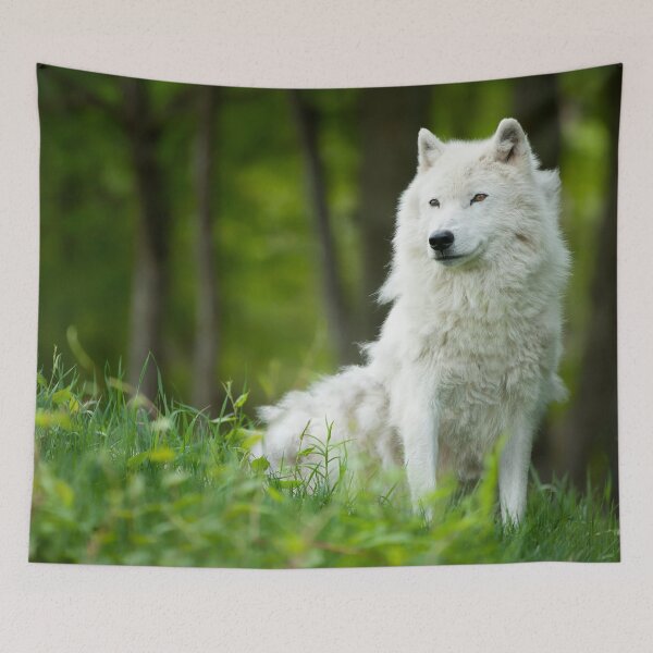 Item preview, Arctic Wolf designed and sold by WolvesOnly.
