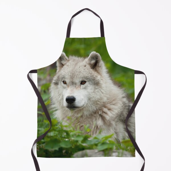 Artikelvorschau, Arctic Wolf entworfen und verkauft von WolvesOnly.