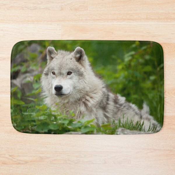 Item preview, Arctic Wolf designed and sold by WolvesOnly.