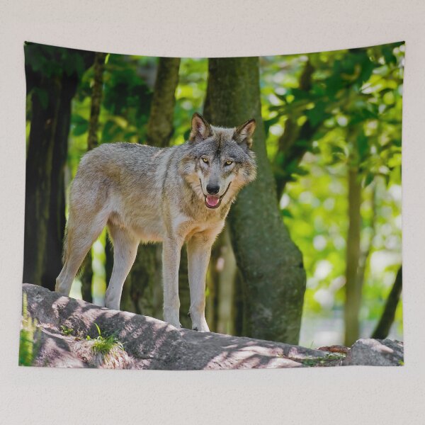 Item preview, Timber Wolf designed and sold by WolvesOnly.