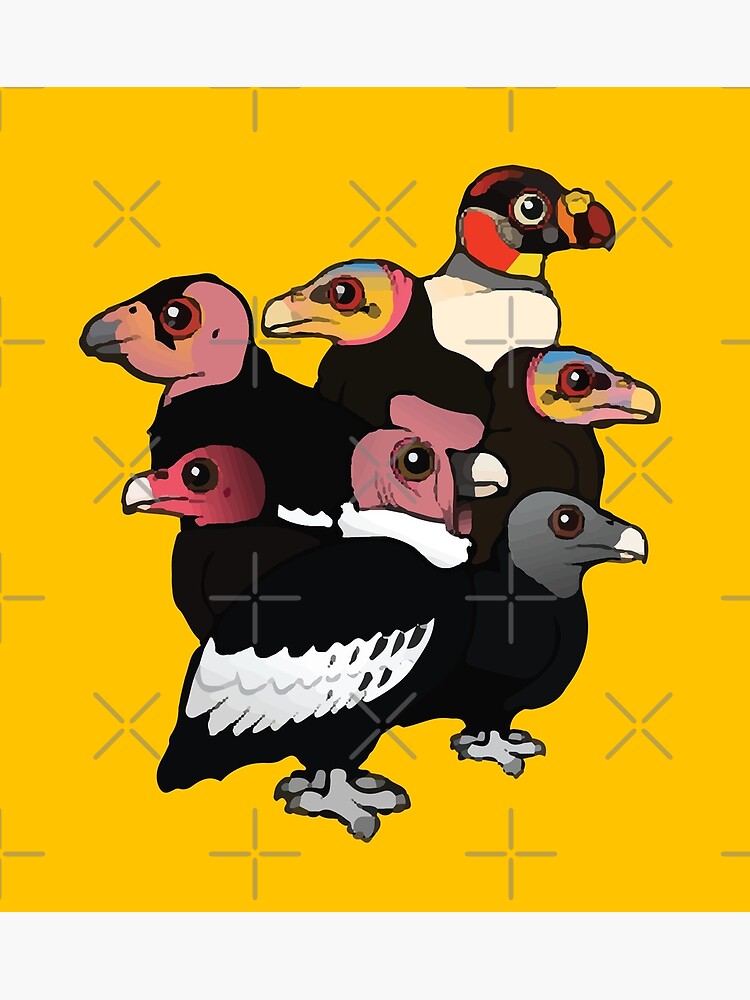  16 Cute Cartoon Birds of Prey Birdorable Raptors Premium T-Shirt  : Clothing, Shoes & Jewelry