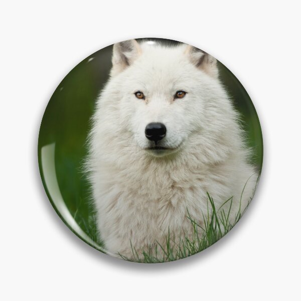 Artikelvorschau, Arctic Wolf entworfen und verkauft von WolvesOnly.
