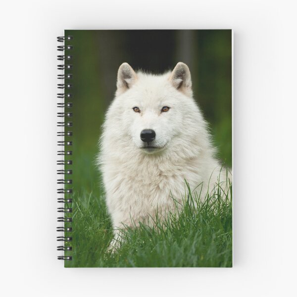 Item preview, Arctic Wolf designed and sold by WolvesOnly.