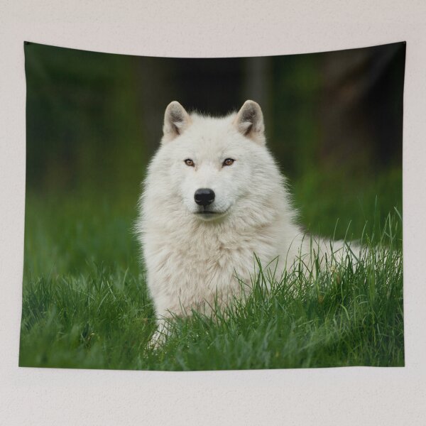 Item preview, Arctic Wolf designed and sold by WolvesOnly.