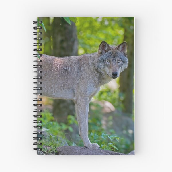 Item preview, Timber Wolf designed and sold by WolvesOnly.