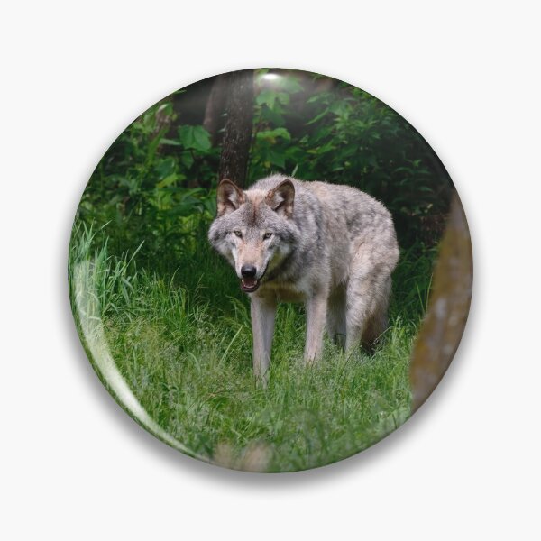 Item preview, Timber Wolf designed and sold by WolvesOnly.