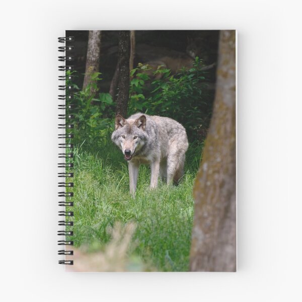 Artikelvorschau, Timber Wolf entworfen und verkauft von WolvesOnly.