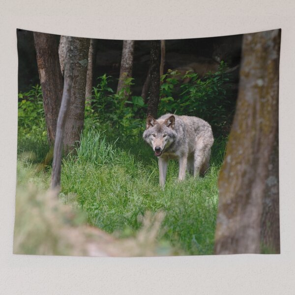 Artikelvorschau, Timber Wolf entworfen und verkauft von WolvesOnly.