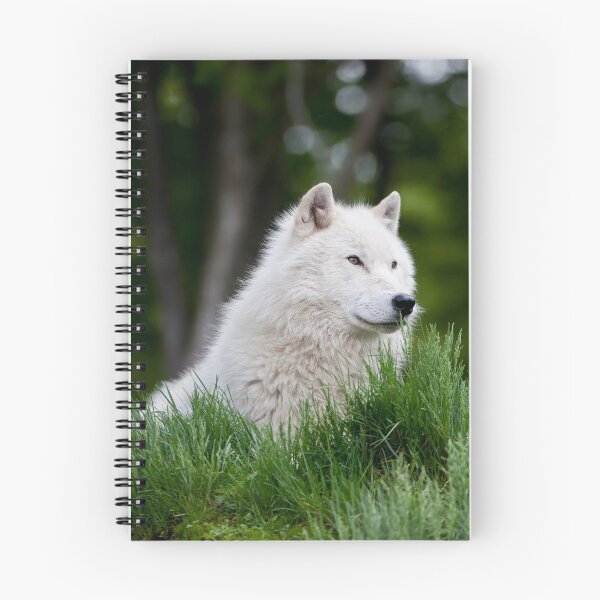 Item preview, Arctic Wolf designed and sold by WolvesOnly.