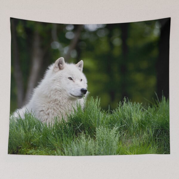 Item preview, Arctic Wolf designed and sold by WolvesOnly.