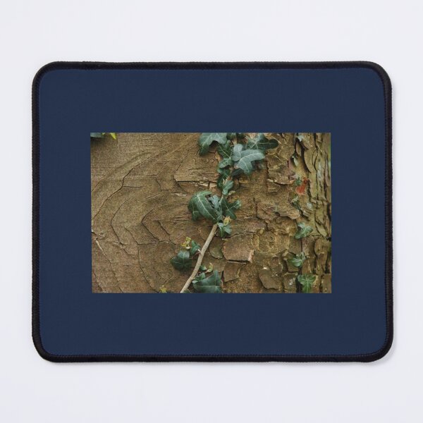Item preview, Dark green ivy growing around a tree photography designed and sold by GoyetteTravon.