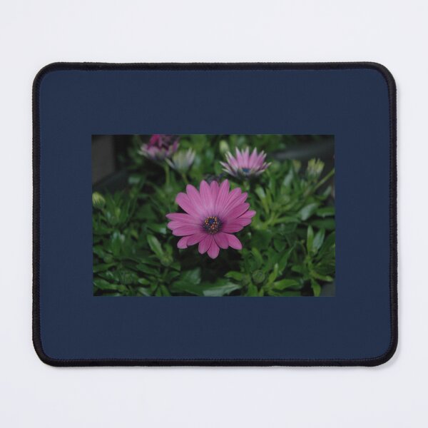 Item preview, Large purple flowers with some green leaves Active designed and sold by GoyetteTravon.