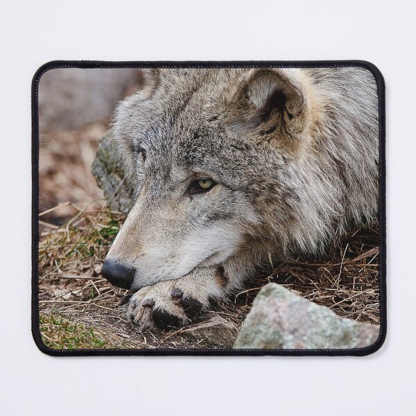 Item preview, Timber Wolf designed and sold by WolvesOnly.