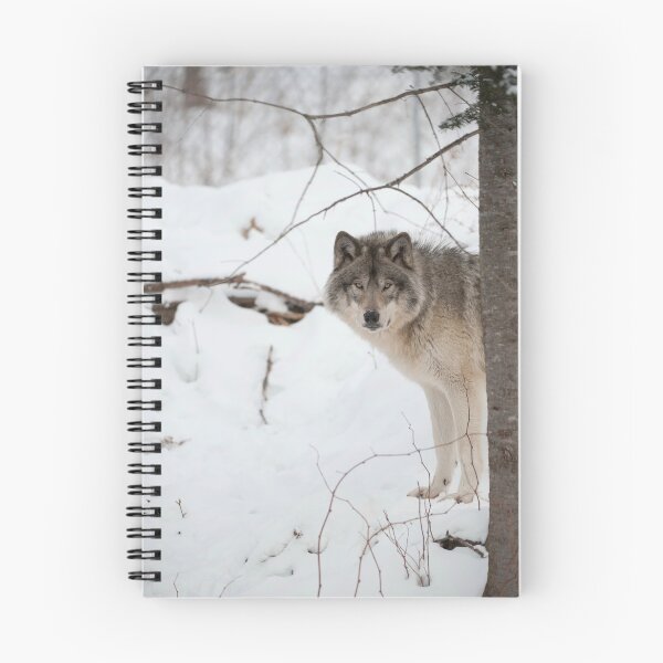 Artikelvorschau, Timber Wolf entworfen und verkauft von WolvesOnly.