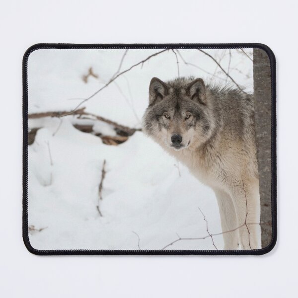 Item preview, Timber Wolf designed and sold by WolvesOnly.
