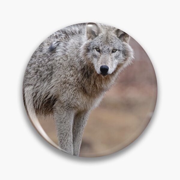 Artikelvorschau, Timber Wolves entworfen und verkauft von WolvesOnly.