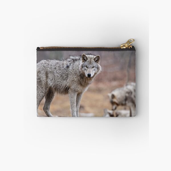 Item preview, Timber Wolves designed and sold by WolvesOnly.