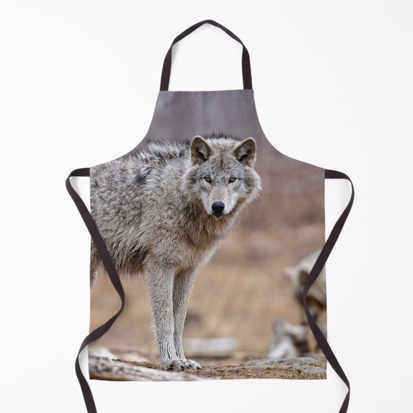Item preview, Timber Wolves designed and sold by WolvesOnly.