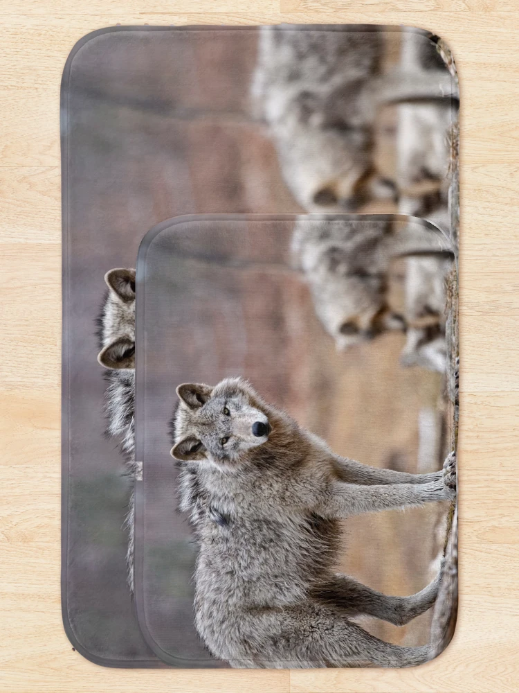 Thumbnail 5 of 6, Bath Mat, Timber Wolves designed and sold by WolvesOnly.