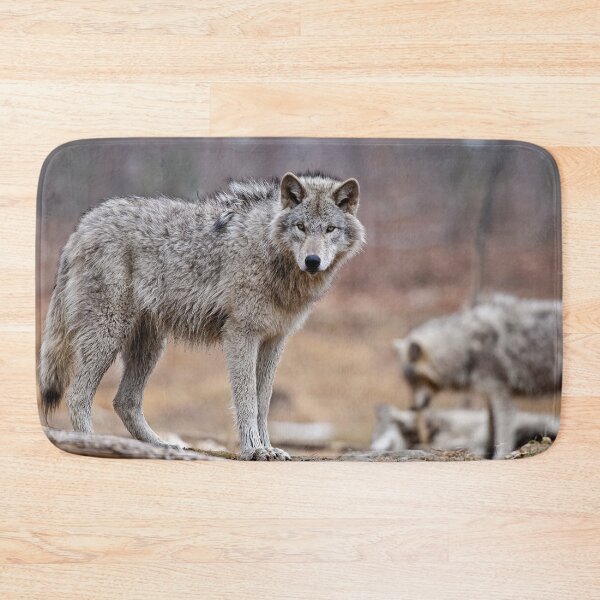 Item preview, Timber Wolves designed and sold by WolvesOnly.