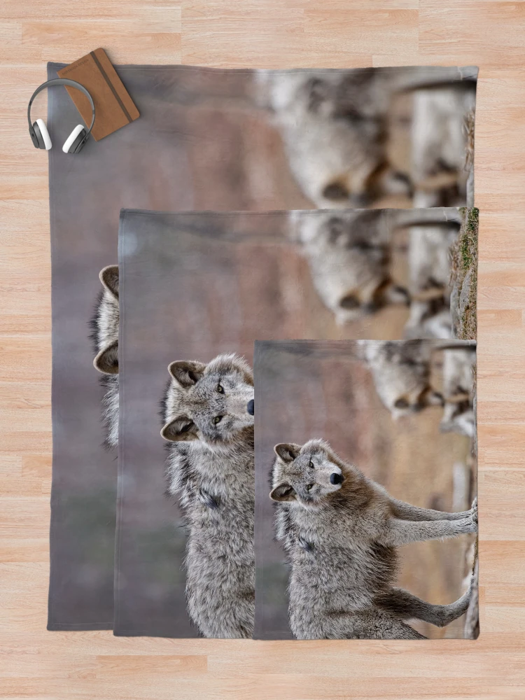 Thumbnail 5 of 6, Throw Blanket, Timber Wolves designed and sold by WolvesOnly.