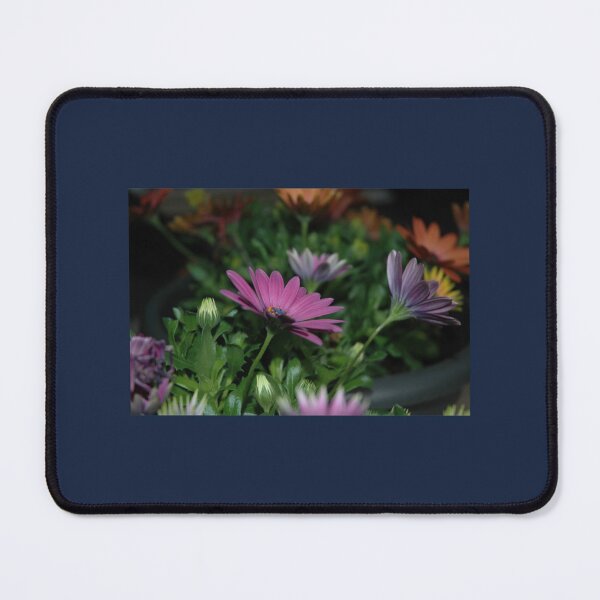 Item preview, Purple and orange flowers with some green leaves photograph designed and sold by GoyetteTravon.