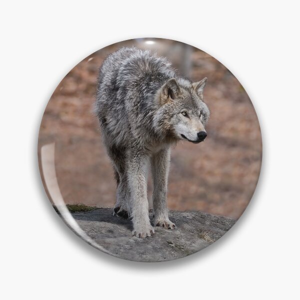 Artikelvorschau, Timber Wolves entworfen und verkauft von WolvesOnly.