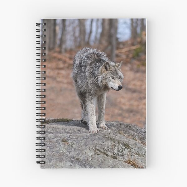 Item preview, Timber Wolves designed and sold by WolvesOnly.