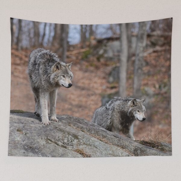 Item preview, Timber Wolves designed and sold by WolvesOnly.
