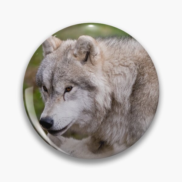Item preview, Arctic Wolves designed and sold by WolvesOnly.