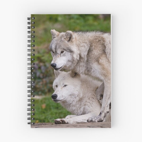 Item preview, Arctic Wolves designed and sold by WolvesOnly.