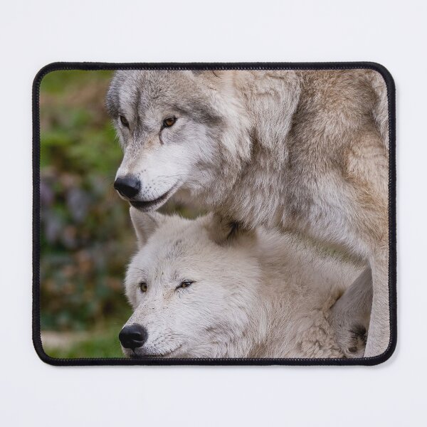 Item preview, Arctic Wolves designed and sold by WolvesOnly.