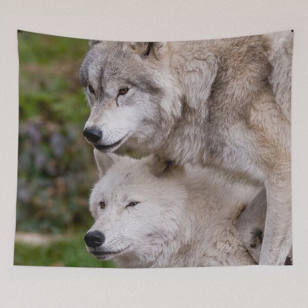 Item preview, Arctic Wolves designed and sold by WolvesOnly.