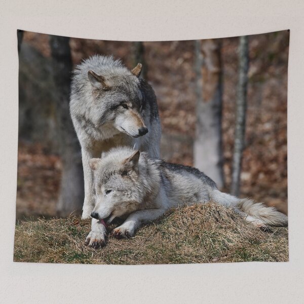 Item preview, Timber Wolves designed and sold by WolvesOnly.