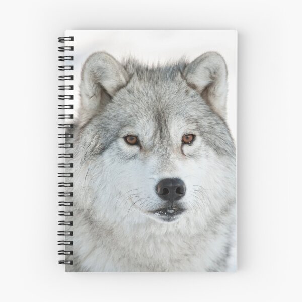 Item preview, Arctic Wolf designed and sold by WolvesOnly.