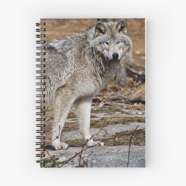 Item preview, Timber Wolf designed and sold by WolvesOnly.