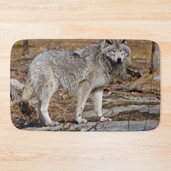 Item preview, Timber Wolf designed and sold by WolvesOnly.