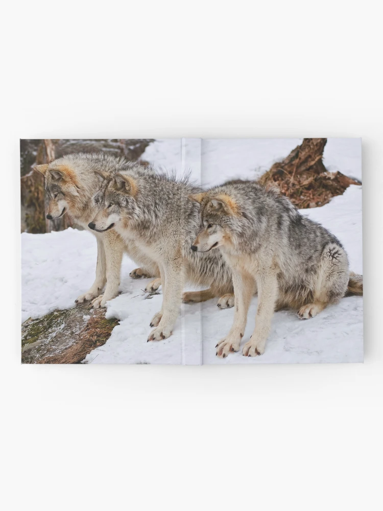 Thumbnail 2 of 3, Journal, Timber Wolves designed and sold by WolvesOnly.