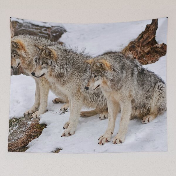 Item preview, Timber Wolves designed and sold by WolvesOnly.
