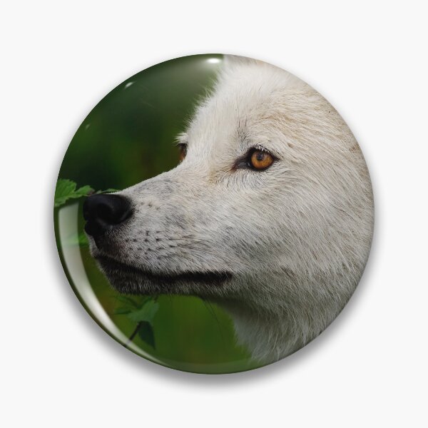 Artikelvorschau, Arctic Wolf entworfen und verkauft von WolvesOnly.