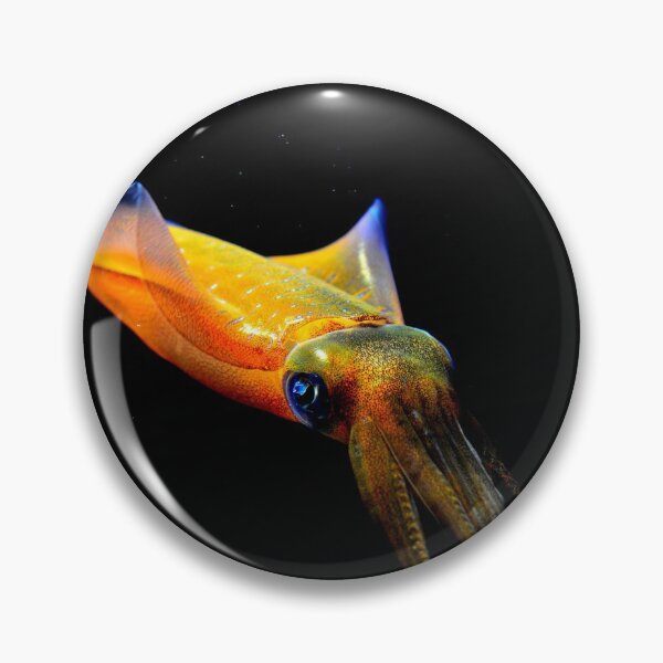 Item preview, squid photo with high resolution quality designed and sold by Allyouneed-2.
