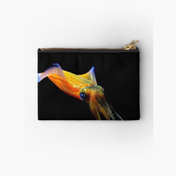 Item preview, squid photo with high resolution quality designed and sold by Allyouneed-2.