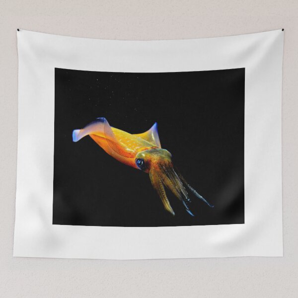 Item preview, squid photo with high resolution quality designed and sold by Allyouneed-2.