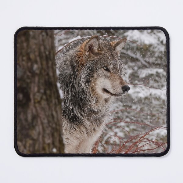 Item preview, Timber Wolf designed and sold by WolvesOnly.