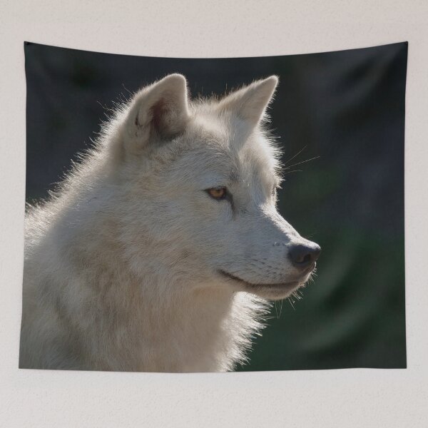 Artikelvorschau, Arctic Wolf entworfen und verkauft von WolvesOnly.