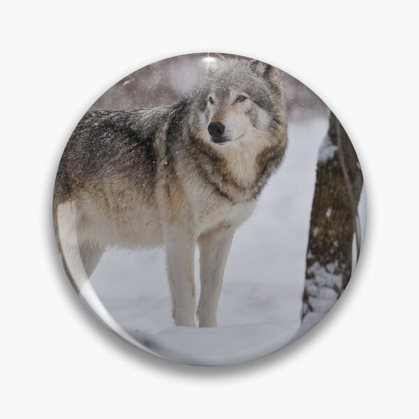 Item preview, Timber Wolf designed and sold by WolvesOnly.